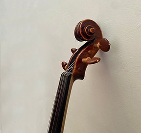 Cuanto cuesta un violin cuanto cuesta un violin - precios costos